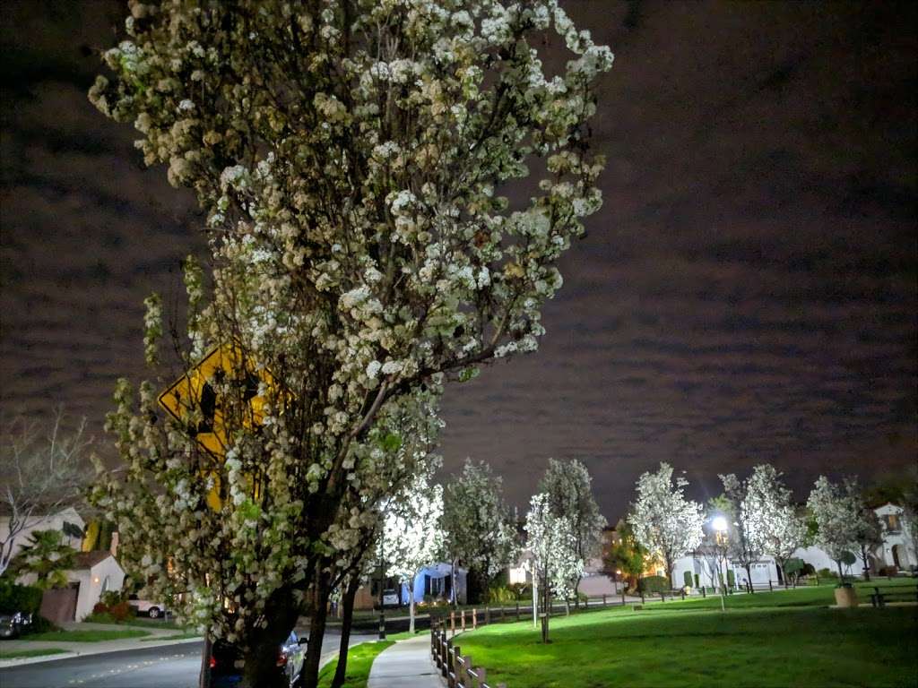 Bellingham Square | 1281 Bellingham Square, San Ramon, CA 94582, USA | Phone: (925) 973-3200