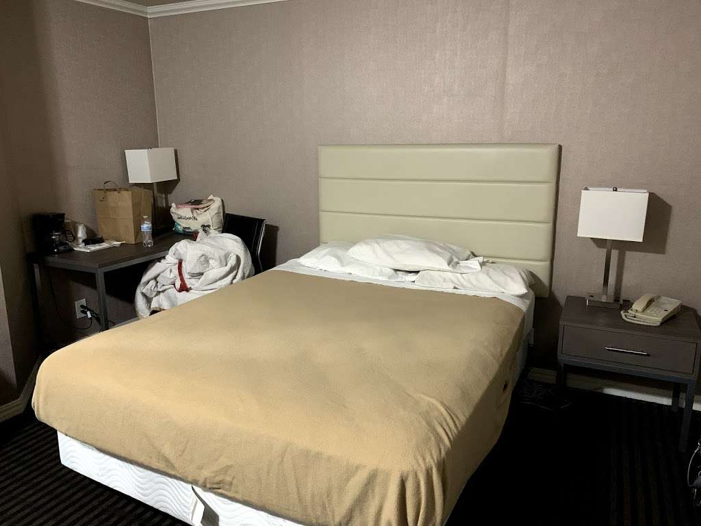 Alpha Inn & Suites | 2505 Lombard St, San Francisco, CA 94123, USA | Phone: (415) 921-2505