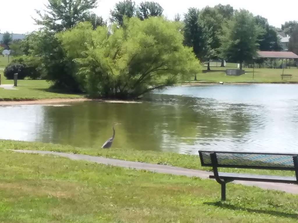 Taneytown Duck Pond | Roberts Mill Rd & Stumptown Rd, Taneytown, MD 21787