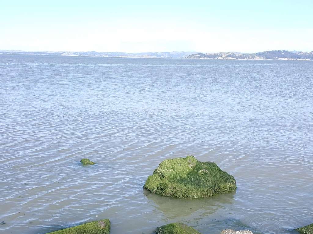 Marin Island National Wildlife Refuge | San Rafael, CA 94901, USA