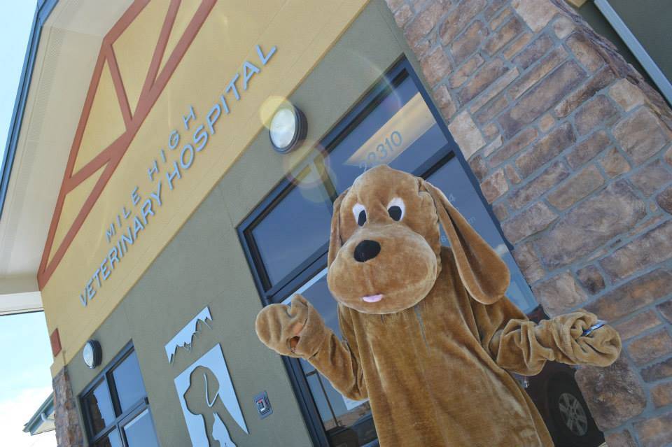 Mile High Animal Hospital | 22310 E Arapahoe Rd Ste 3, Aurora, CO 80016, USA | Phone: (303) 693-6484