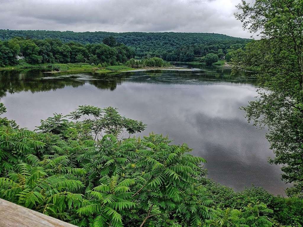 Upper Delaware Scenic Byway Narrowsburg Lookout | 60 Main St, Narrowsburg, NY 12764, USA