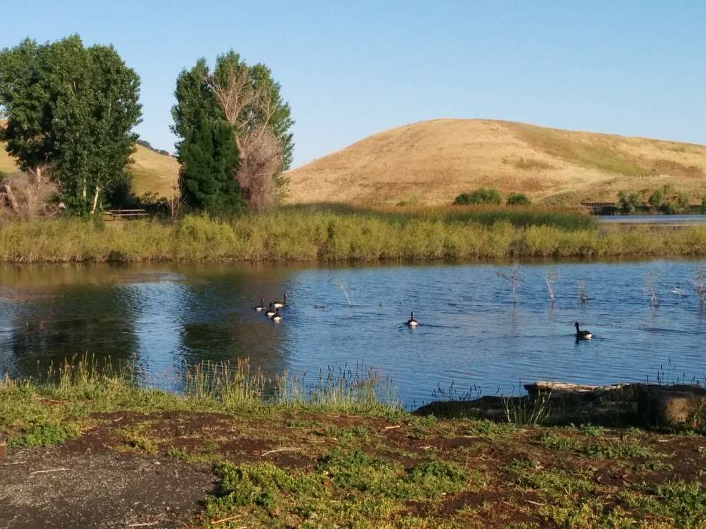 Contra Loma Regional Park | 1200 Frederickson Ln, Antioch, CA 94509 | Phone: (888) 327-2757