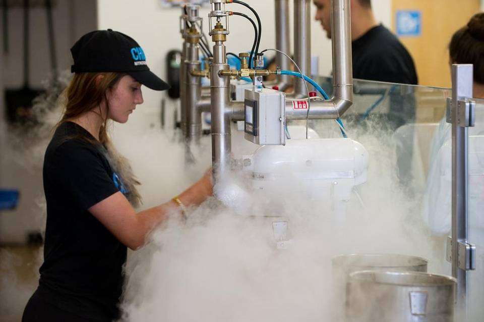 Chill-N Nitrogen Ice Cream Boca Raton | 3011 Yamato Rd A-11, Boca Raton, FL 33434, USA | Phone: (561) 826-7572