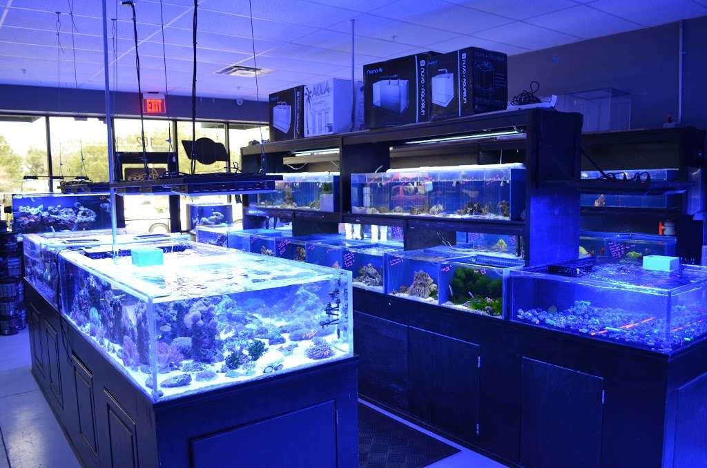 Top Shelf Aquatics | 7250 Aloma Ave #102, Winter Park, FL 32792, USA | Phone: (407) 677-7333