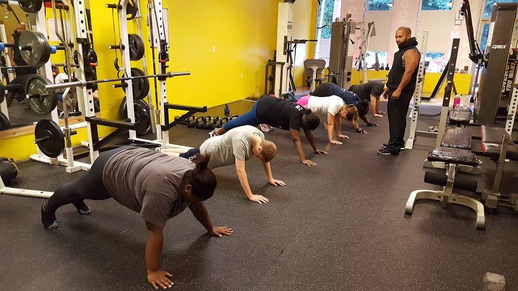 Elite Fitness | 50 NY-303, Valley Cottage, NY 10989, USA | Phone: (845) 222-6549