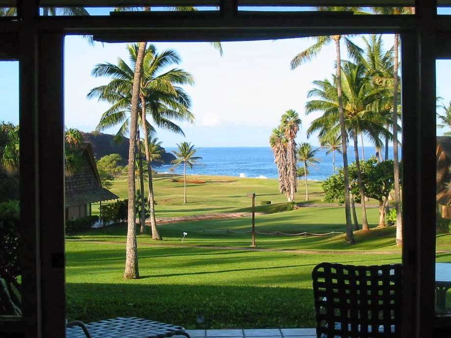 Escape to Molokai | 2817 San Simeon Way, San Carlos, CA 94070 | Phone: (650) 631-5788