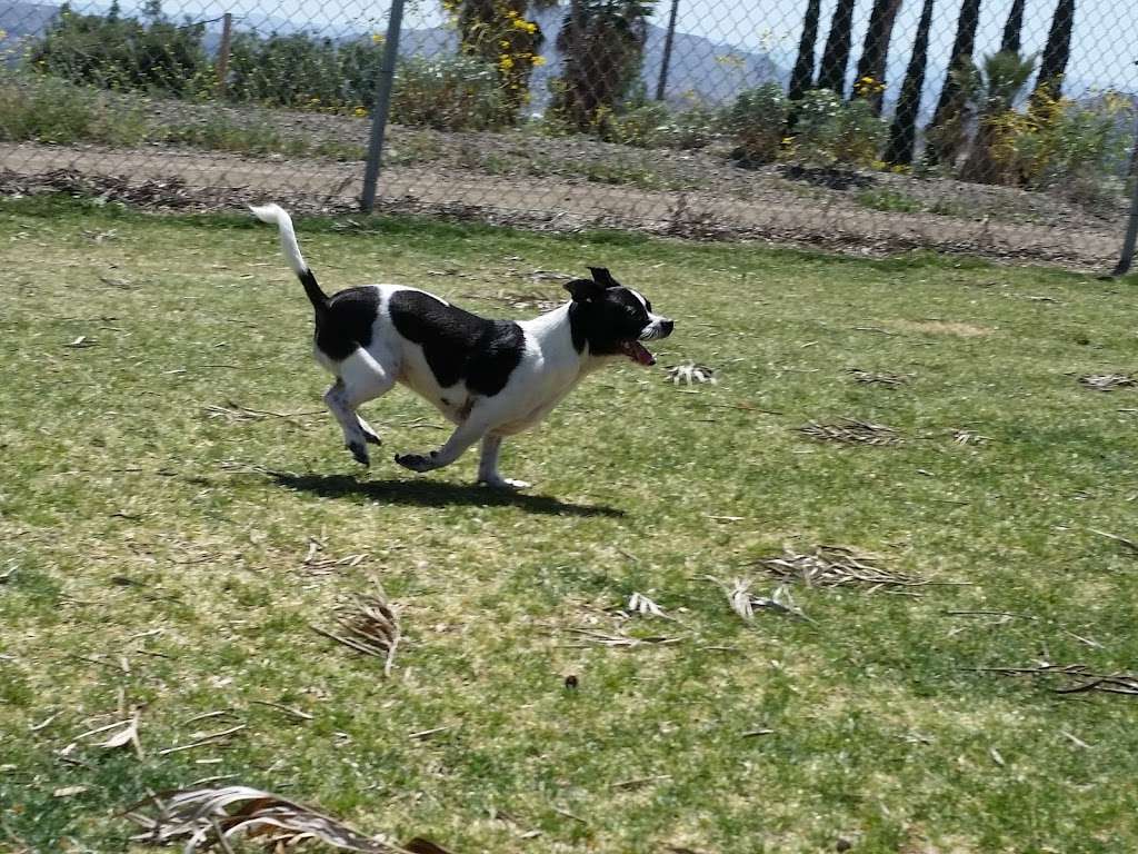 Hound Town | 11150 Redlands Blvd, Moreno Valley, CA 92555, USA