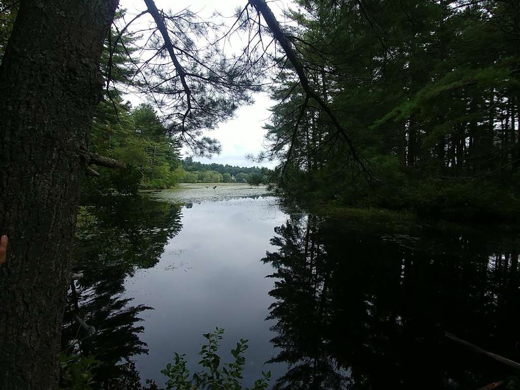 Greenough Land parking | Maple St, Carlisle, MA 01741, USA