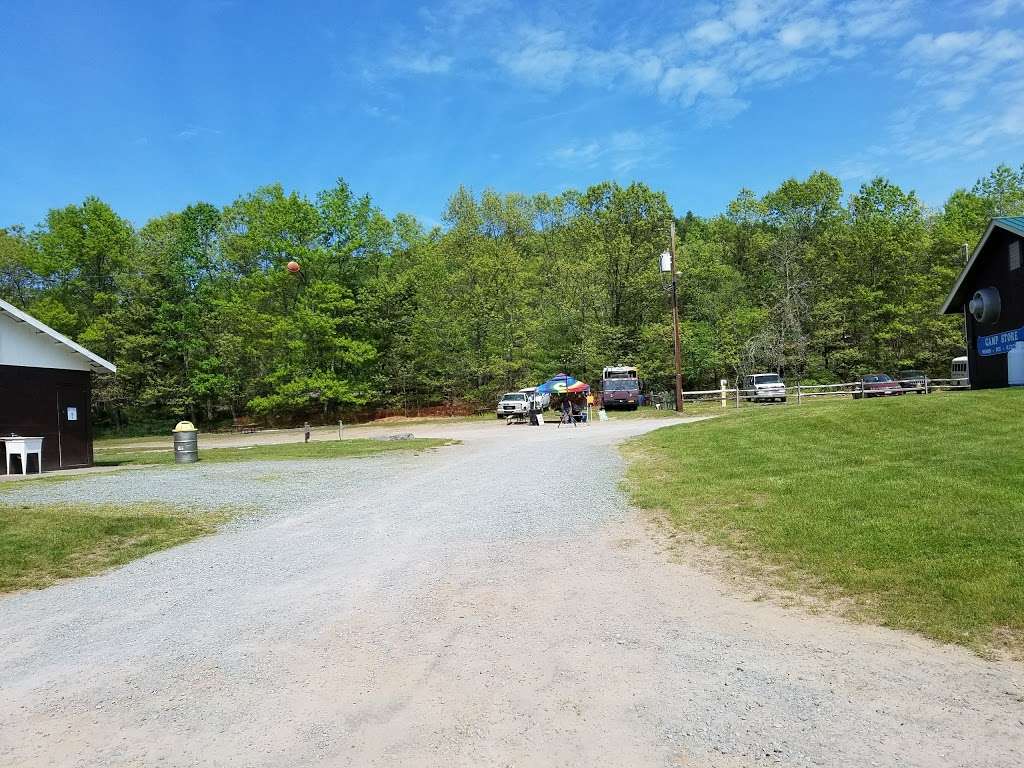 Narrowsburg Campground (Landers River Trips) | 69 De Mauro Ln, Narrowsburg, NY 12764 | Phone: (800) 252-3925