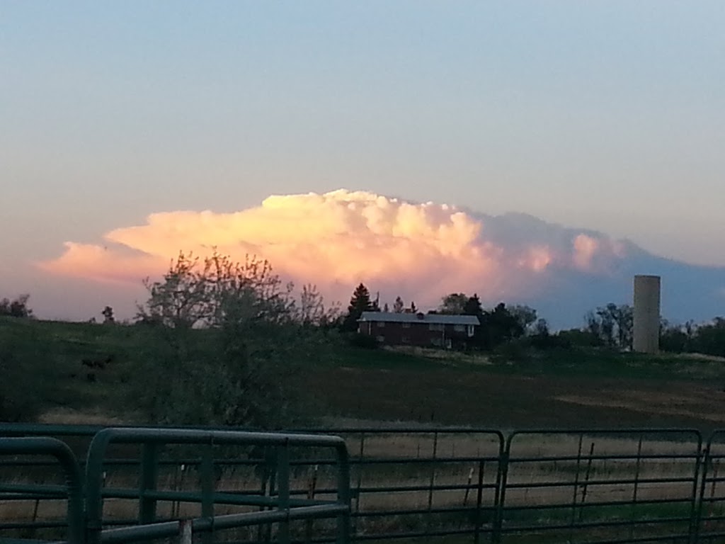 Spring Gulch Greenway #2 | Longmont, CO 80504, USA