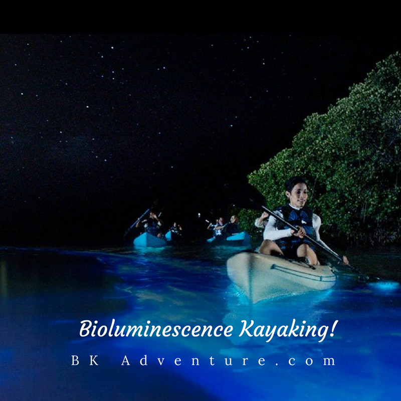 BK Adventure Florida - Bioluminescence Tours | 485 N Washington Ave, Titusville, FL 32796, USA | Phone: (407) 519-8711