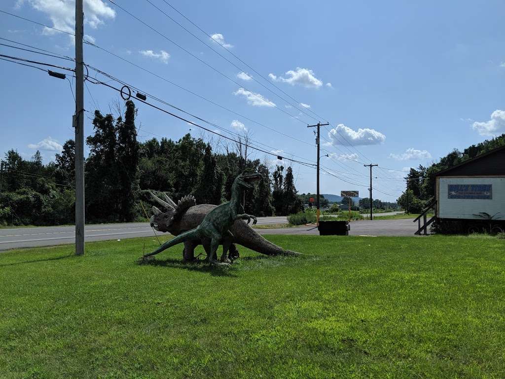 Bills Dinosaurs | Bloomsburg, PA 17815, USA