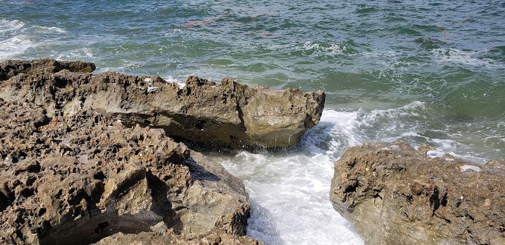 Nature Conservancy Blowing Rocks | 575 S Beach Rd, Hobe Sound, FL 33455, USA | Phone: (561) 744-6668