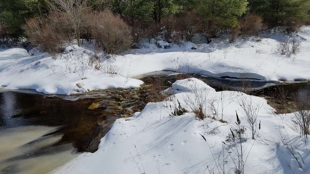 Thomas Darling Preserve Parking | Burger Rd, Blakeslee, PA 18610, USA | Phone: (570) 643-7922