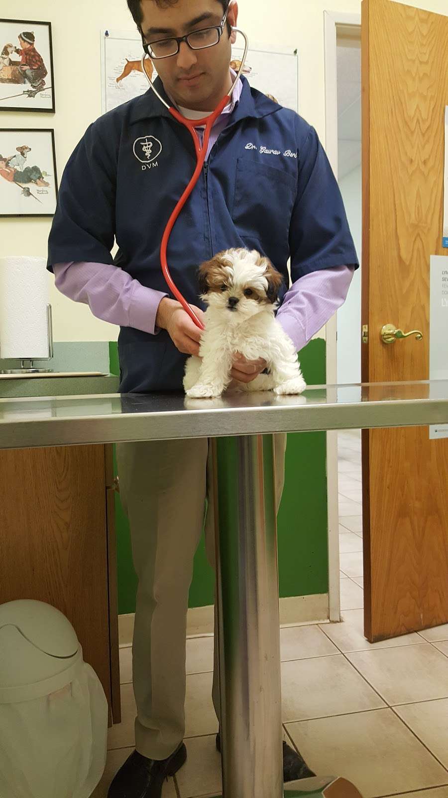 Crossroads Animal Hospital | 7154 Caton Farm Rd, Plainfield, IL 60586 | Phone: (815) 609-5444