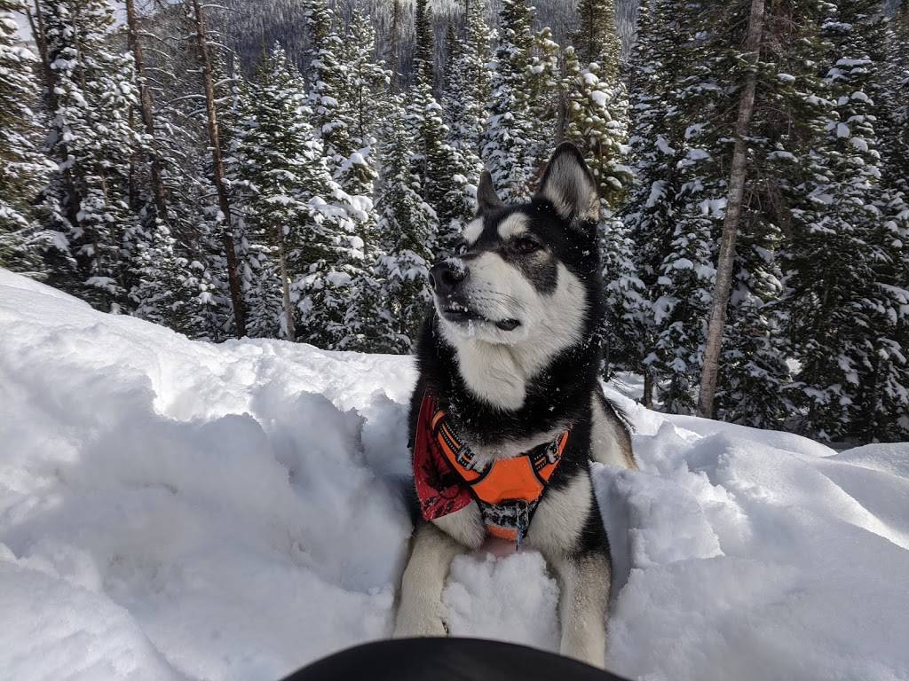 Corona Parking Lot | 80103 US-40, Winter Park, CO 80482, USA