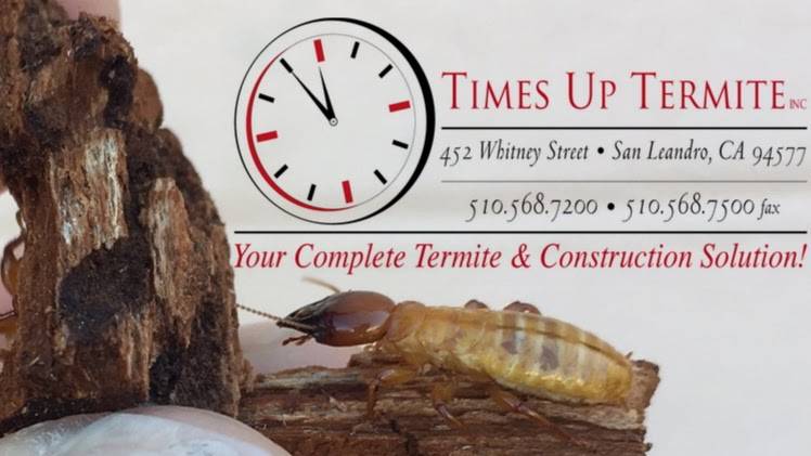 Times Up Termite | 452 Whitney St, San Leandro, CA 94577, USA | Phone: (510) 568-7200