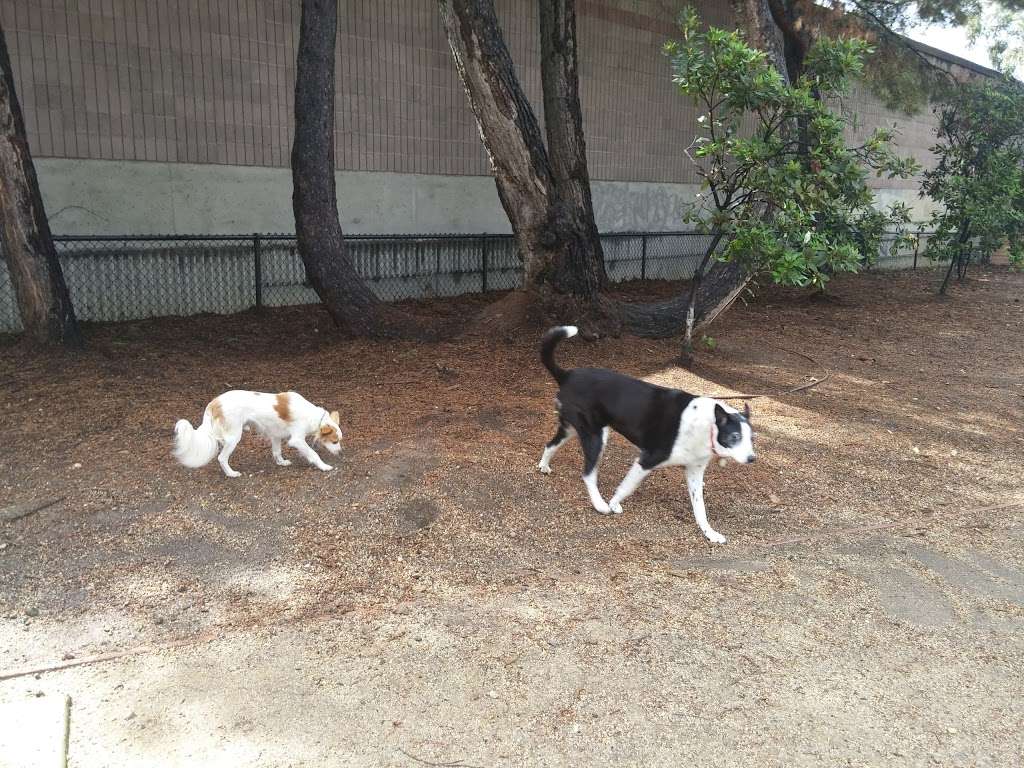 Mary Avenue Dog Park | 10309 Mary Ave, Cupertino, CA 95014, USA