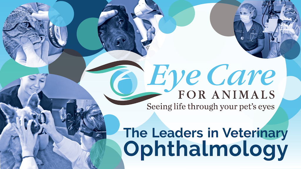 Eye Care for Animals | 1267 W 7th St, Upland, CA 91786, USA | Phone: (909) 949-9200