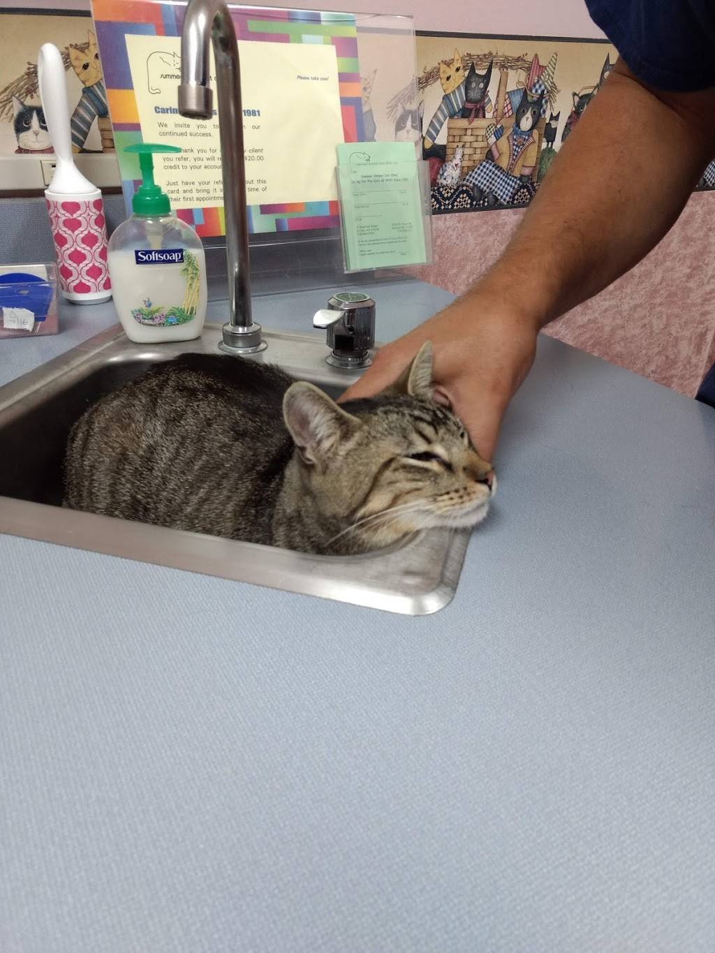 Summer Street Cat Clinic PC - veterinary care  | Photo 9 of 9 | Address: 2323 N Forest Rd, Getzville, NY 14068, USA | Phone: (716) 689-2287