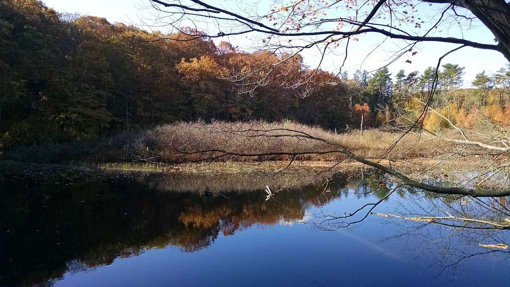 Fuchs Pond Preserve | Waterside Rd, Fort Salonga, NY 11768, USA | Phone: (631) 351-3000