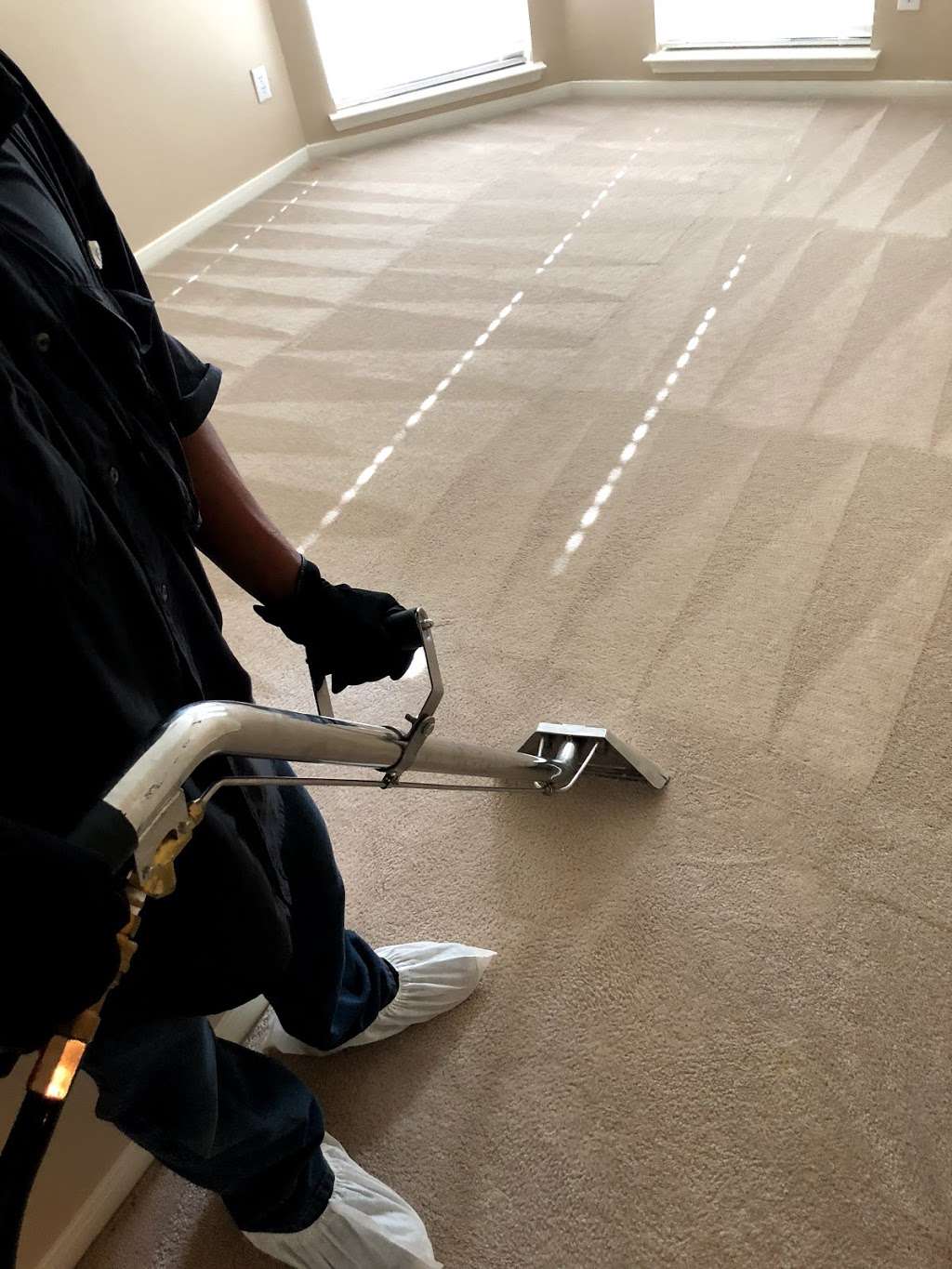 Carpet Care | 4200 W 34th St, Houston, TX 77092, USA | Phone: (832) 962-1068