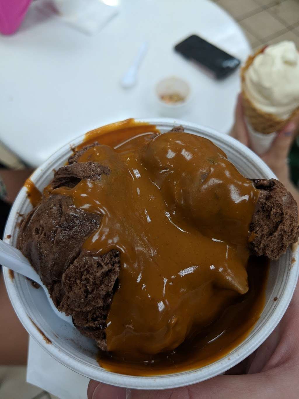 Brendys Yogurt & Ice cream | 4801 Linton Blvd, Delray Beach, FL 33445, USA | Phone: (561) 496-2328