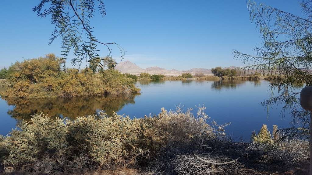 Henderson Bird Viewing Preserve | 350 East Galleria dr., Henderson, NV 89011, USA | Phone: (702) 267-4180