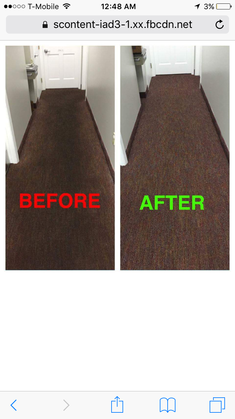 Master Cleaning LLC | 17525 Elsienna Ave, Cleveland, OH 44135, USA | Phone: (216) 333-9010