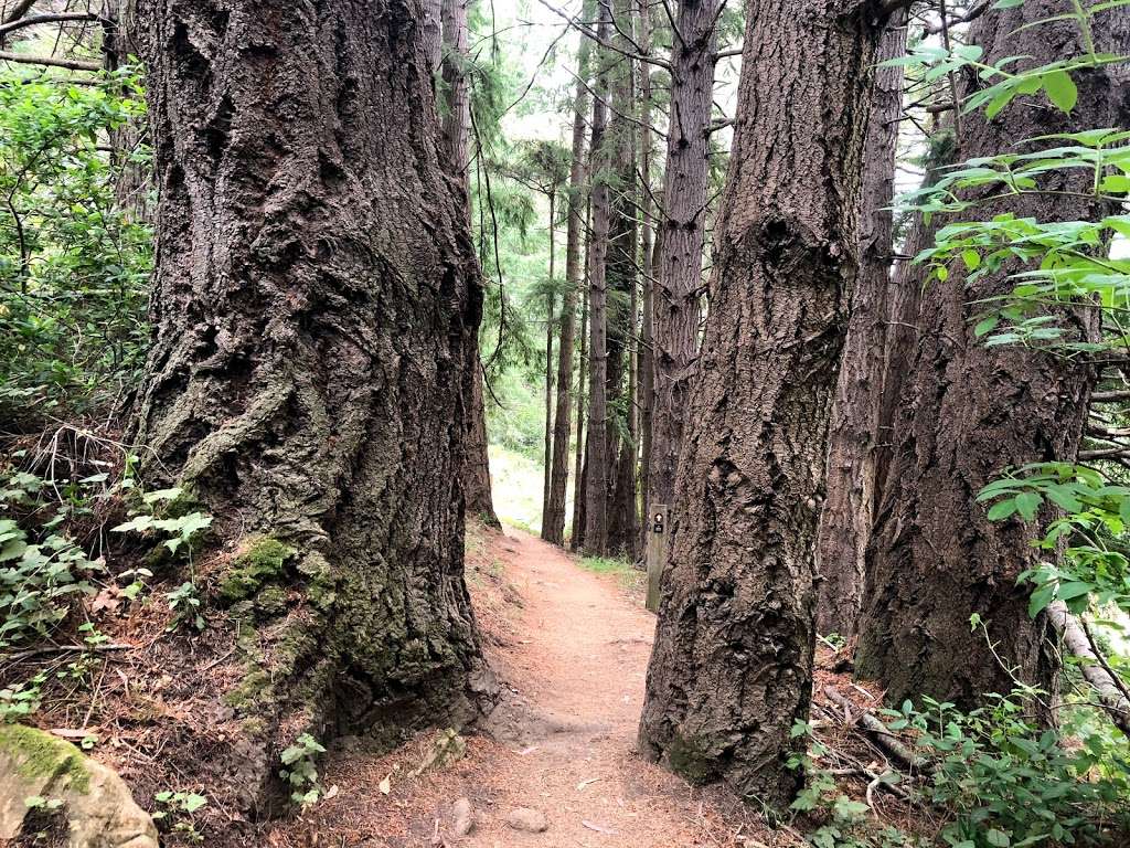 Montara Mountain | Montara Mountain Trail, Pacifica, CA 94044, USA