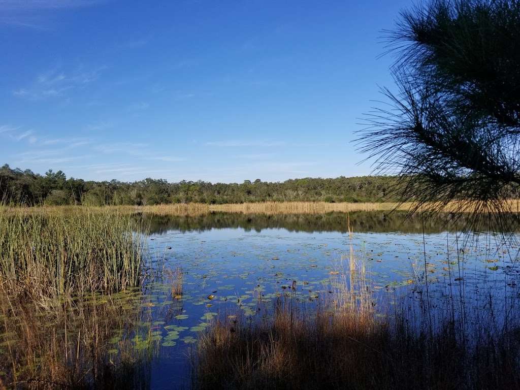 Lake May Reserve | 36300 County Rd 44A, Eustis, FL 32736, USA | Phone: (352) 253-4950