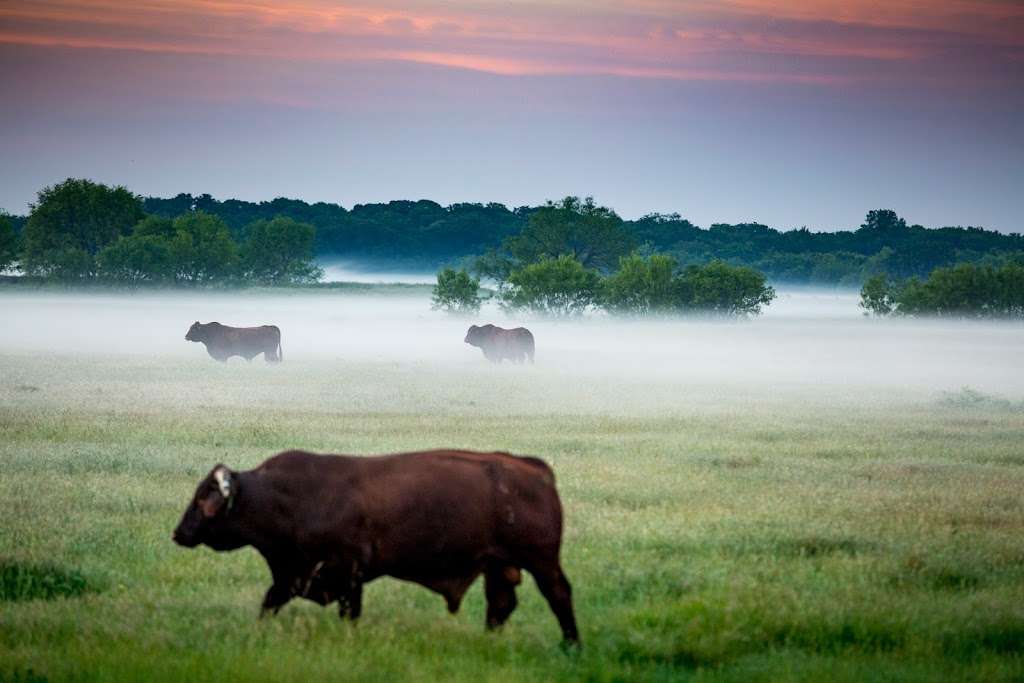 Hortenstine Ranch Company | 10711 Preston Rd #240, Dallas, TX 75230, USA | Phone: (214) 361-9191