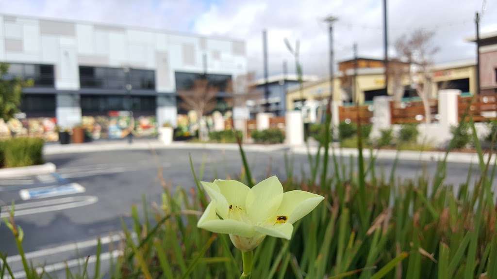 Mission Square | 46845 Warm Springs Blvd, Fremont, CA 94539, USA