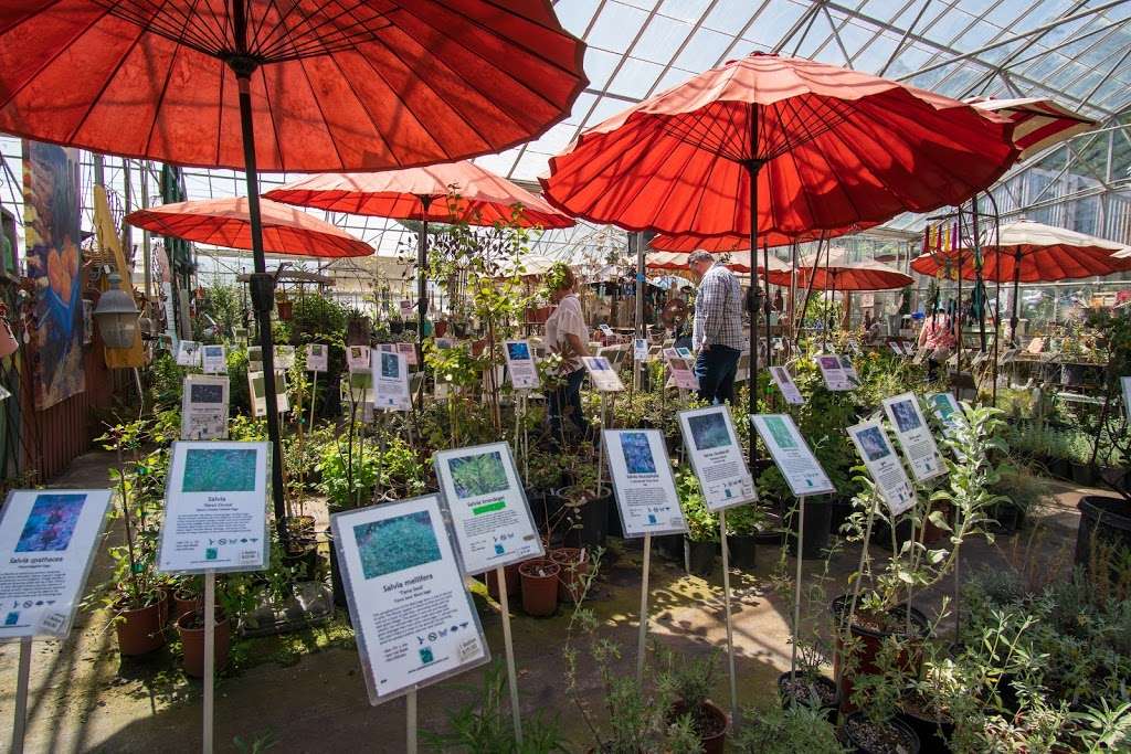 Yerba Buena Nursery | 12511 San Mateo Rd, Half Moon Bay, CA 94019, USA | Phone: (650) 851-1668