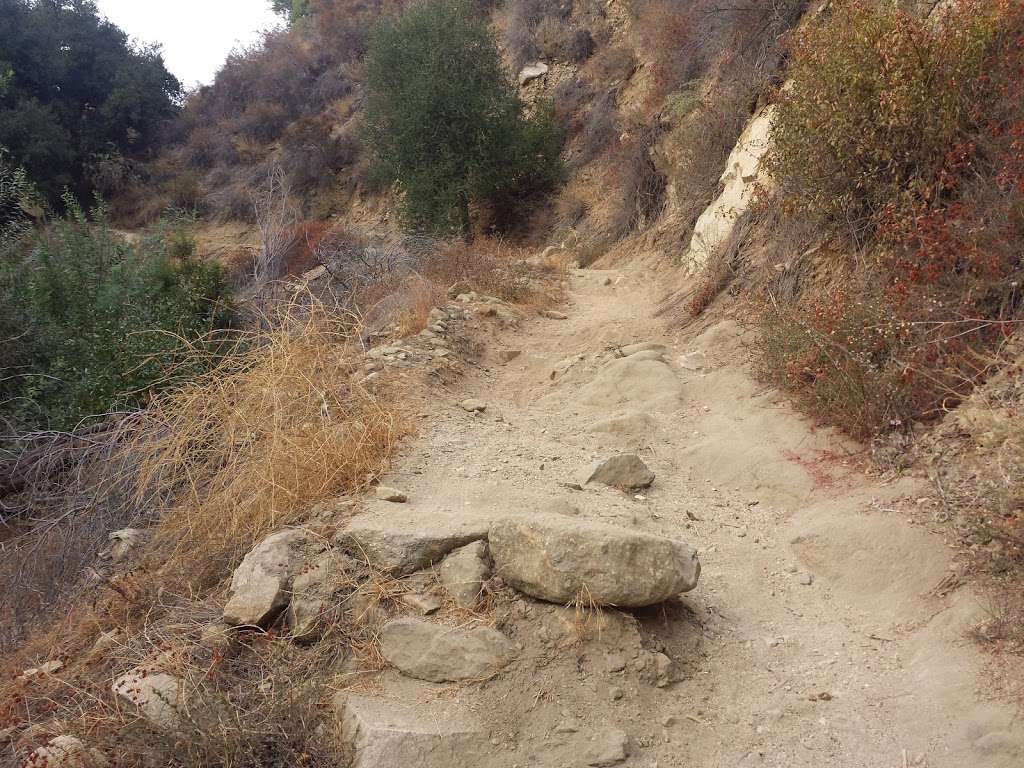 El Prieto Canyon | N Arroyo Blvd, Altadena, CA 91001, USA