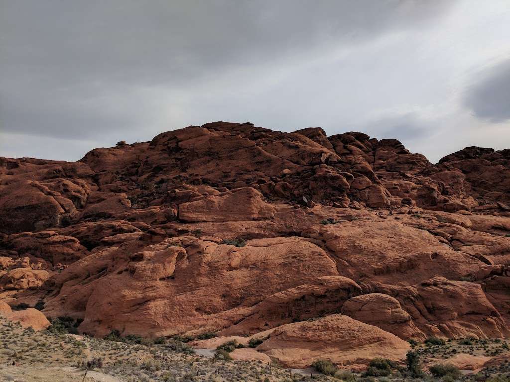 Calico Hills North | Scenic Loop Dr, Las Vegas, NV 89161, USA