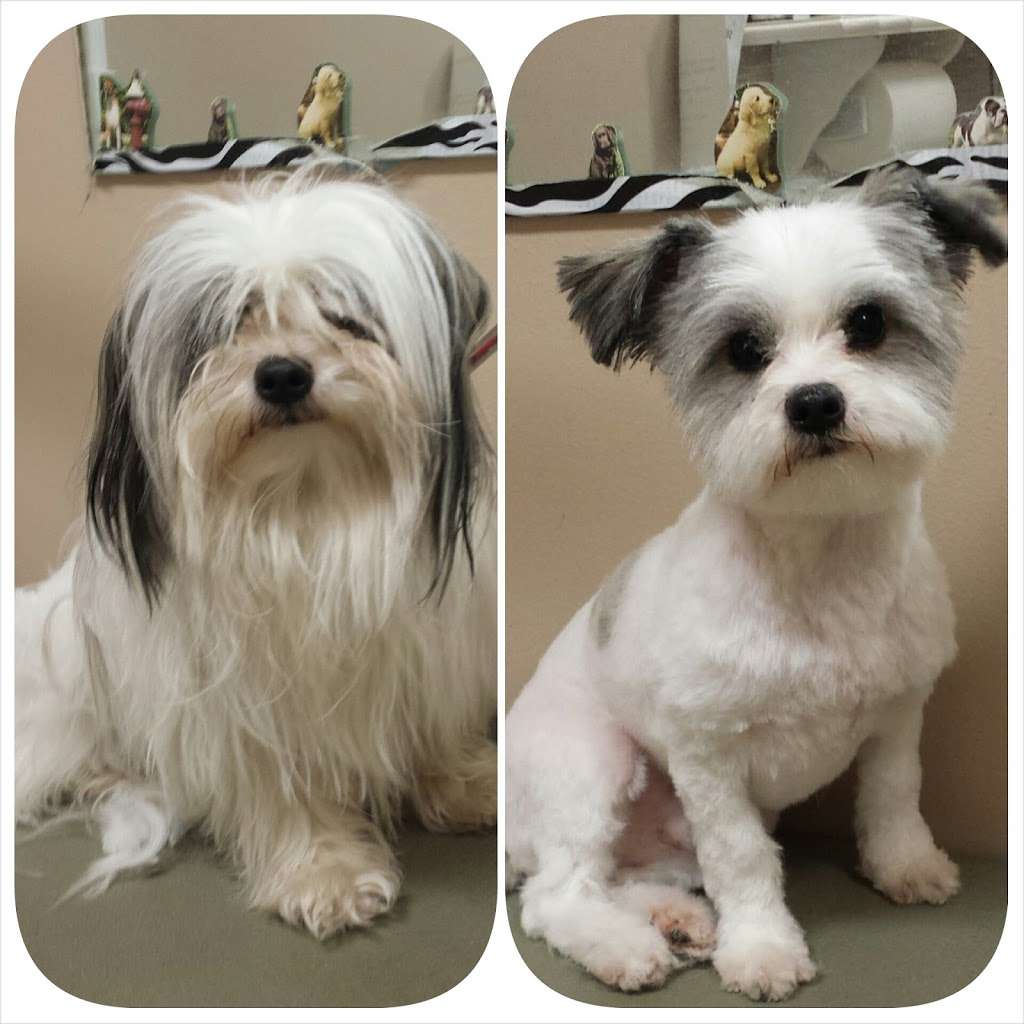 franklin township nj pet groomer