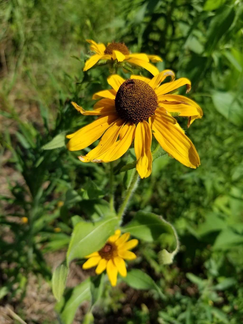 McAlpine Creek Greenway Trailhead | 110 Old Bell Rd, Charlotte, NC 28270, USA