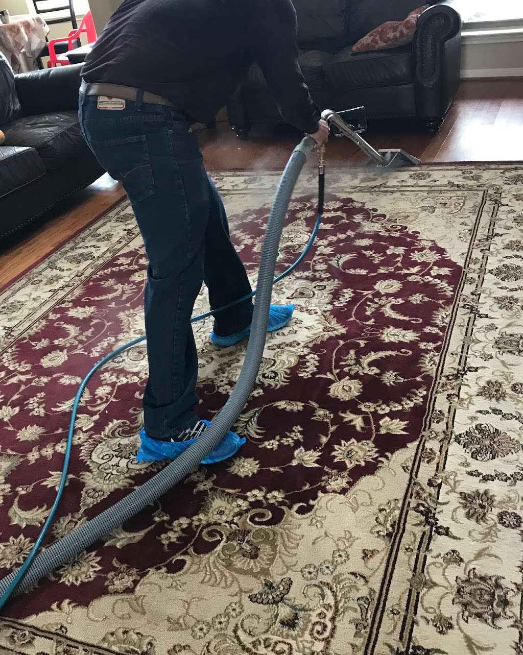 Natural Carpet Cleaning | 7700 Willow Chase Blvd, Houston, TX 77070, USA | Phone: (832) 962-1068