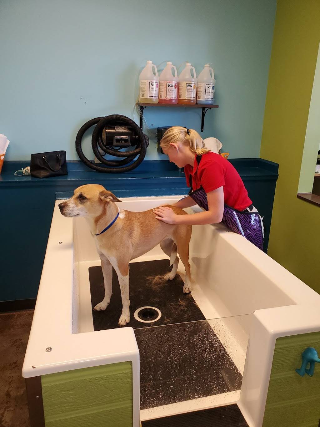 Dirty Dogs Spa | 929 Heritage Lake Rd, Wake Forest, NC 27587, USA | Phone: (919) 453-0765