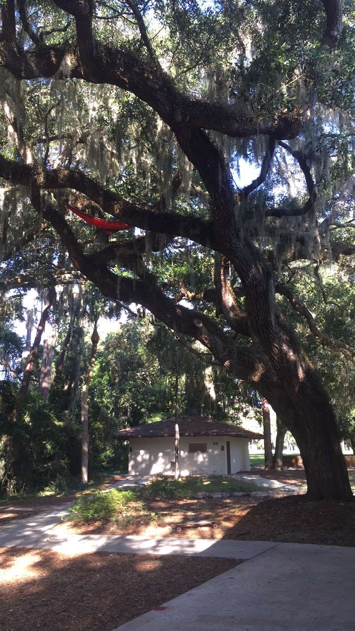 Warren W. Willis United Methodist Camp | 4991 Picciola Rd, Fruitland Park, FL 34731, USA | Phone: (866) 862-2677
