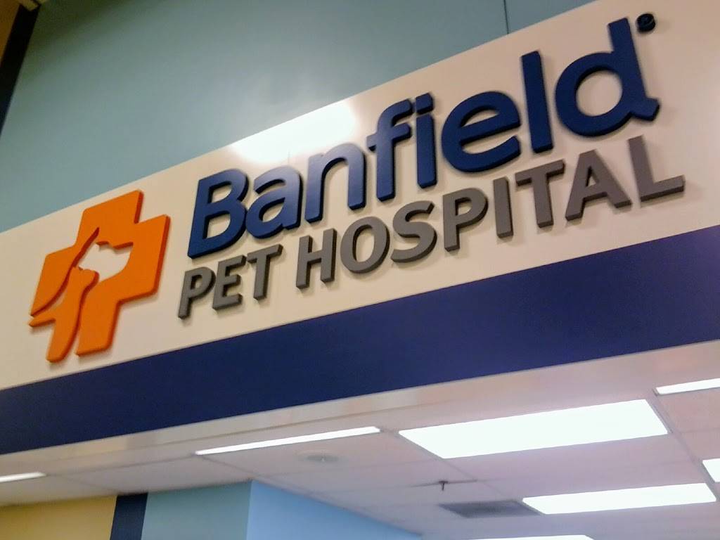 Banfield Pet Hospital | 2140 N Rainbow Blvd, Las Vegas, NV 89108, USA | Phone: (702) 647-6880