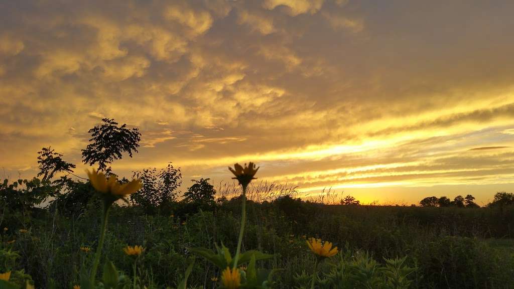 Prairie Oaks Forest Preserve | 7535 Cherry Valley Rd, Kingston, IL 60145, USA