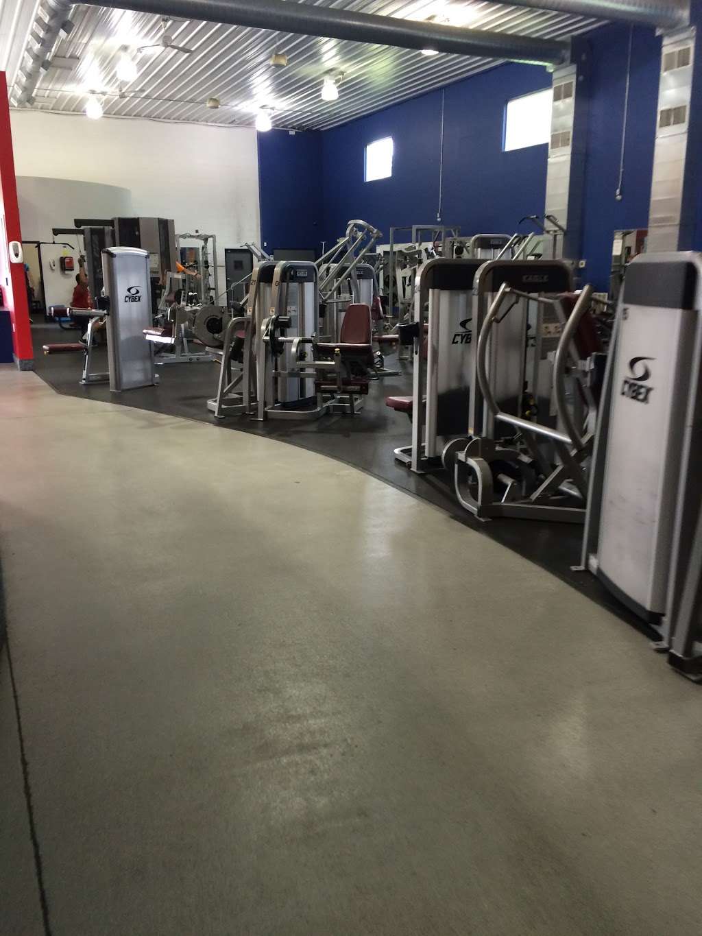 World Gym | 12937 Wicker Ave, Cedar Lake, IN 46303, USA | Phone: (219) 390-7600