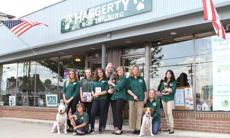 Haggerty Dog Training | 24 Central Ave, Midland Park, NJ 07432, USA | Phone: (201) 444-9893