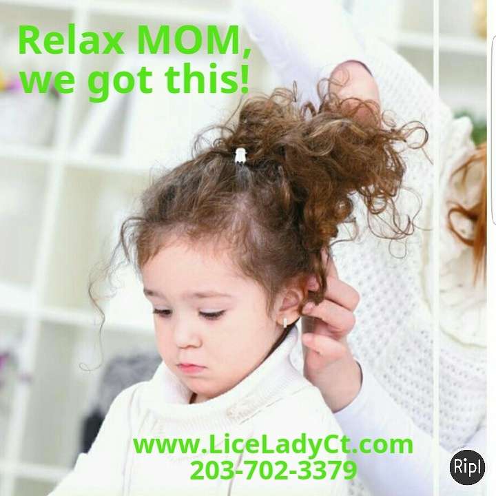 All Natural Lice Removal Service | 14 Banquo Brae Rd, Brookfield, CT 06804 | Phone: (203) 702-3379