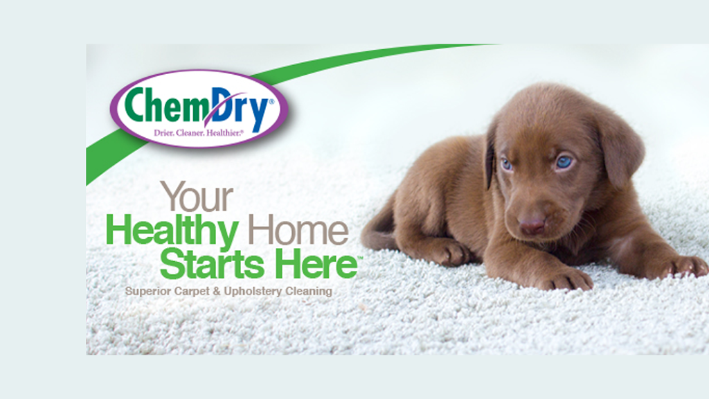 Chem Dry Of The Poconos | 729 Snow Hill Rd, Cresco, PA 18326, USA | Phone: (570) 420-9085