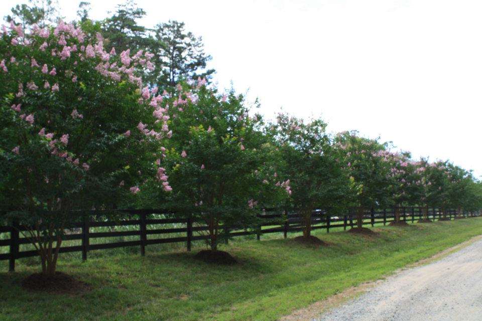 Lenux Stables & Riding Academy | 10610 Kerns Rd, Huntersville, NC 28078, USA | Phone: (704) 947-7433