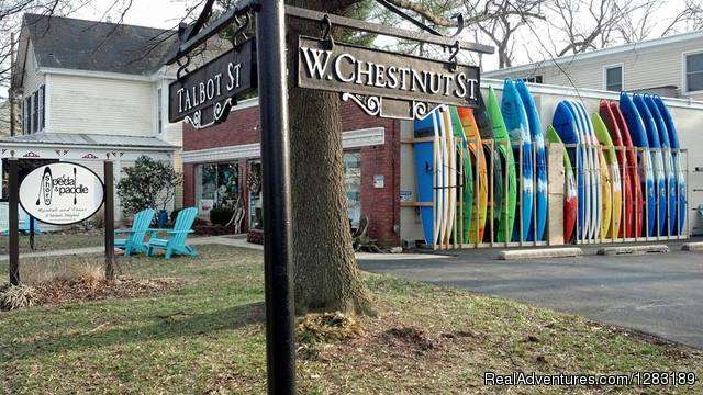 Sophies Poseys | 404 S Talbot St, St Michaels, MD 21663, USA | Phone: (410) 745-4046